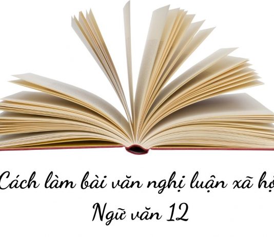 Cách làm bài văn nghị luận xã hội