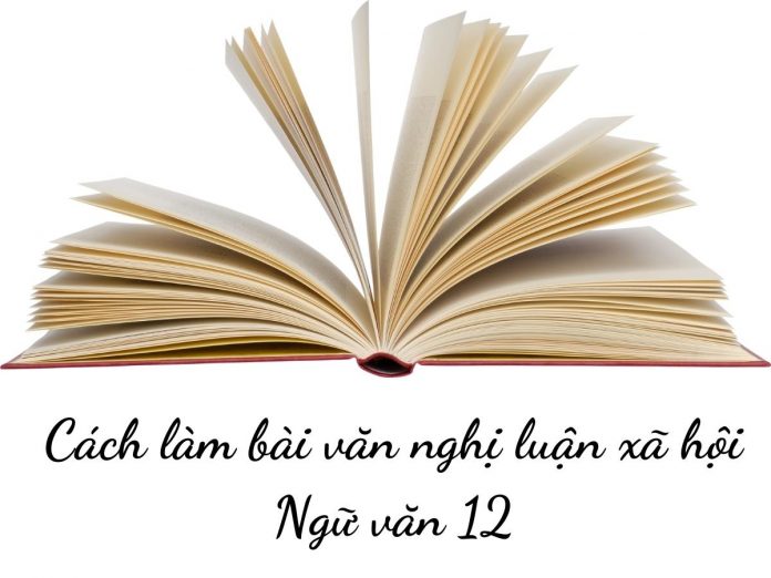 Cách làm bài văn nghị luận xã hội
