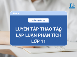 Soạn bài luyện tập thao tác lập luận phân tích lớp 11