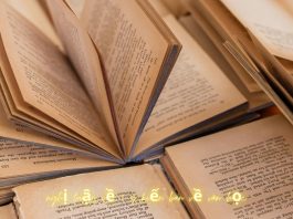 Soạn bài nghị luận về 1 ý kiến bàn về văn học | Ngữ văn 12