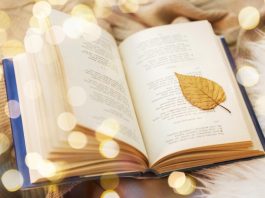 Soạn bài Nghị luận về một bài thơ đoạn thơ | Ngữ văn 12