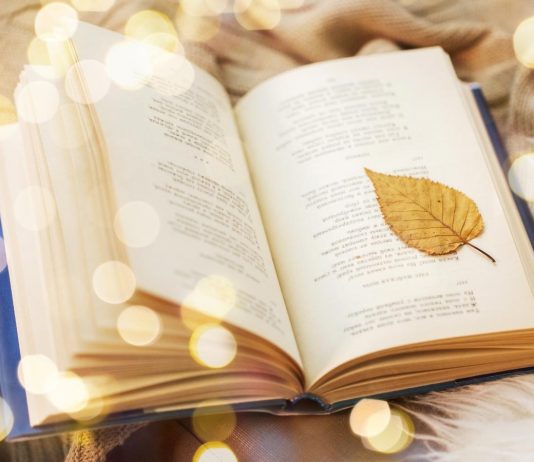 Soạn bài Nghị luận về một bài thơ đoạn thơ | Ngữ văn 12