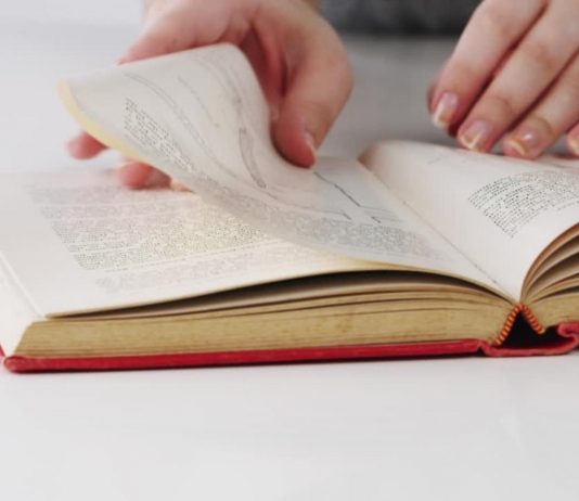 Soạn bài Giá trị văn học và tiếp nhận văn học | Ngữ văn 12