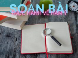 Soạn bài Thực hành về hàm ý | Ngữ văn 12