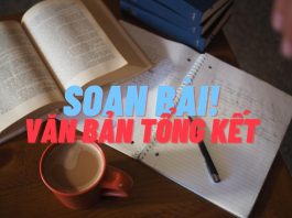 Soạn bài Văn bản tổng kết | Ngữ văn 12