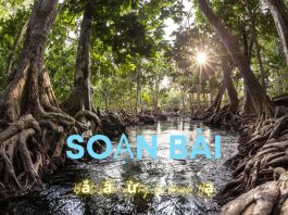 Soạn bài đọc thêm Bắt sấu rừng U Minh Hạ | Ngữ văn 12