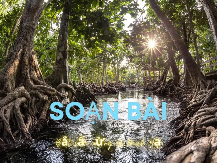 Soạn bài đọc thêm Bắt sấu rừng U Minh Hạ | Ngữ văn 12