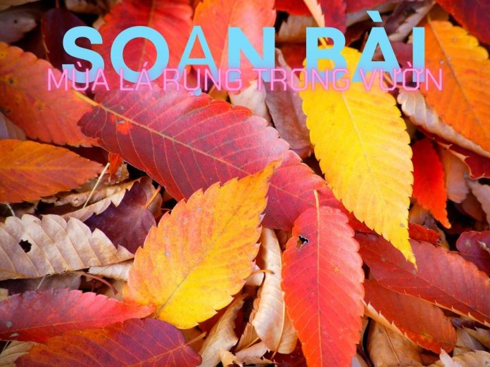 Soạn bài Mùa lá rụng trong vườn | Ngữ văn 12