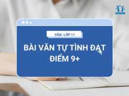 BÀI VĂN TỰ TÌNH ĐẠT ĐIỂM 9+