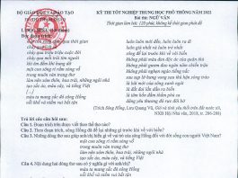 Đề thi thử thpt quốc gia 2022 môn văn