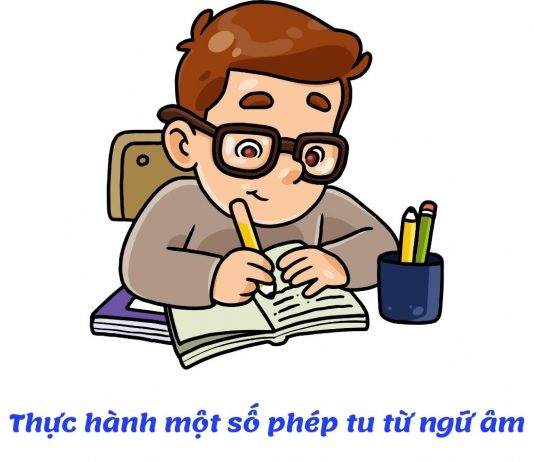 Soạn bài thực hành một số phép tu từ ngữ âm | Ngữ văn 12