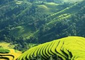 Bài phân tích 12 câu tiếp bài Việt Bắc hay nhất
