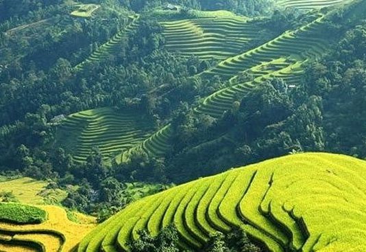 Bài phân tích 12 câu tiếp bài Việt Bắc hay nhất