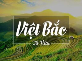 Bài phân tích 8 câu đầu bài Việt Bắc hay nhất