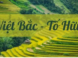 Bài phân tích bức tranh tứ bình Việt Bắc hay nhất