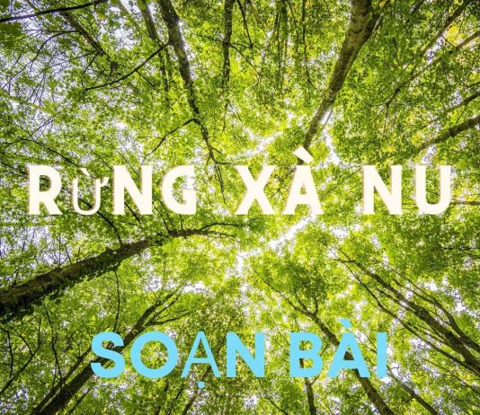 Soạn bài Rừng Xà Nu | Ngữ văn 12