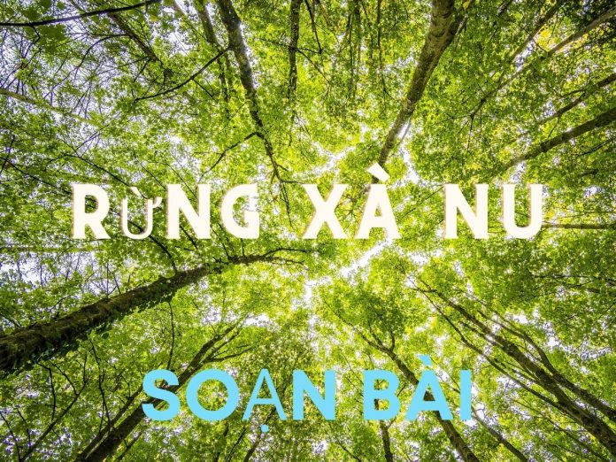 Soạn bài Rừng Xà Nu | Ngữ văn 12