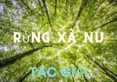 Rừng xà nu tác giả tác phẩm | Nguyễn Trung Thành