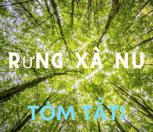 Tóm tắt Rừng xà nu ngắn nhất | Ngữ văn 12