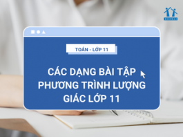 Tổng hợp các dạng bài tập phương trình lượng giác lớp 11