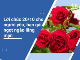 Lời chúc 20/10 cho người yêu, bạn gái ngọt ngào lãng mạn