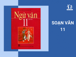 Soạn Văn 11 Ngắn Nhất - Tổng hợp tất cả kiến thức ngữ văn lớp 11