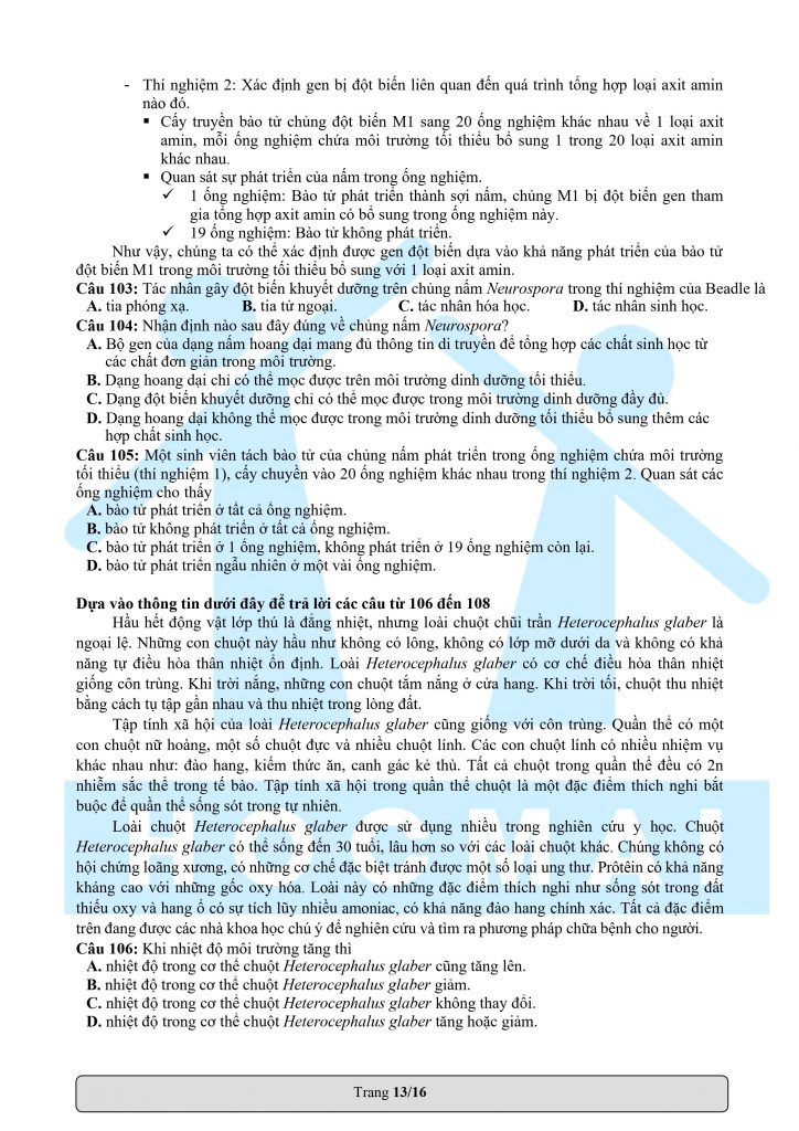 Đề thi đánh giá năng lực ĐHQG TP. HCM 2022 (Đề mẫu có đáp án)