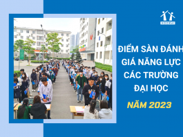 diem-san-danh-gia-nang-luc-2023