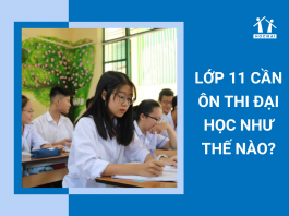 lop-11-can-on-thi-dai-hoc-nhu-the-nao