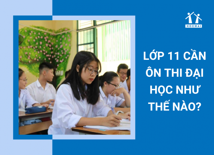 lop-11-can-on-thi-dai-hoc-nhu-the-nao