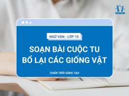 soan-bai-cuoc-tu-bo-lai-cac-giong-vat-thumbnail