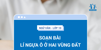 soan-bai-li-ngua-o-o-hai-vung-dat