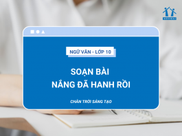 soan-bai-nang-da-hanh-roi