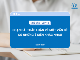 soan-bai-thao-luan-ve-mot-van-de-co-nhung-y-kien-khac-nhau-3