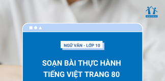 soan-bai-thuc-hanh-tieng-viet-trang-80-ngu-van-10-canh-dieu