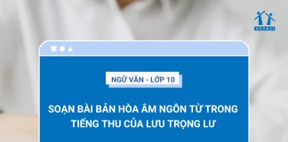 soan-bai-ban-hoa-am-ngon-tu-trong-tieng-thu-cua-luu-trong-lu