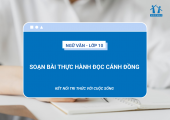 soan-bai-thuc-hanh-doc-canh-dong