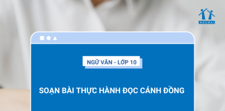 soan-bai-thuc-hanh-doc-canh-dong