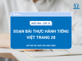 soan-bai-thuc-hanh-tieng-viet-trang-28-1