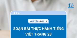 soan-bai-thuc-hanh-tieng-viet-trang-28-1