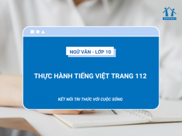 soan-bai-thuc-hanh-tieng-viet-trang-112-ngu-van-10-ket-noi-tri-thuc