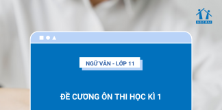 de-cuong-on-thi-hoc-ki-1-ngu-van-11