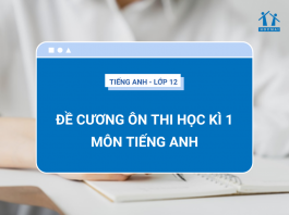 de-cuong-on-thi-hoc-ki-1-tieng-anh-12