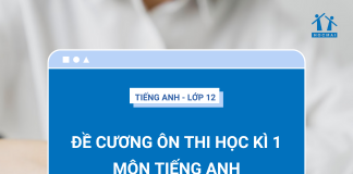de-cuong-on-thi-hoc-ki-1-tieng-anh-12